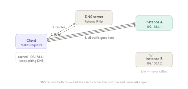 DNS returns both IPs webdevpro-143-why-your-microservices-need-more-than-round-robin-dns-img-2